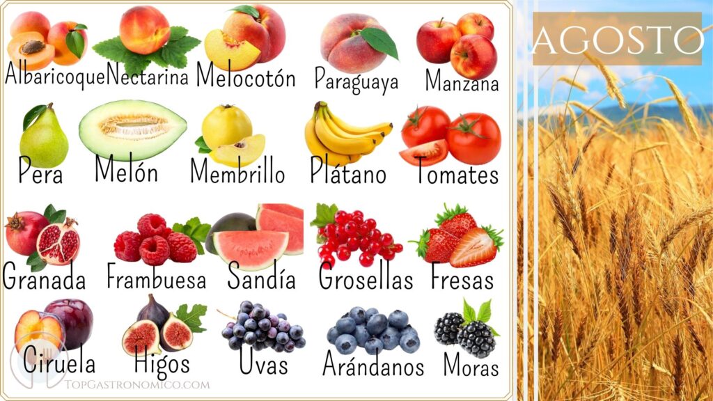 Alimentos de temporada en verano: disfruta de los mejores sabores y nutrientes