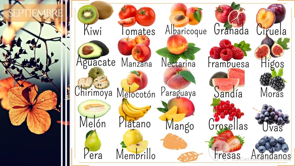 Alimentos de temporada en verano: disfruta de los mejores sabores y nutrientes
