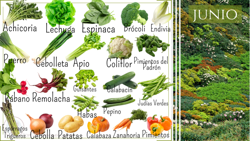 Alimentos de temporada en primavera: qué comer para aprovechar esta estación