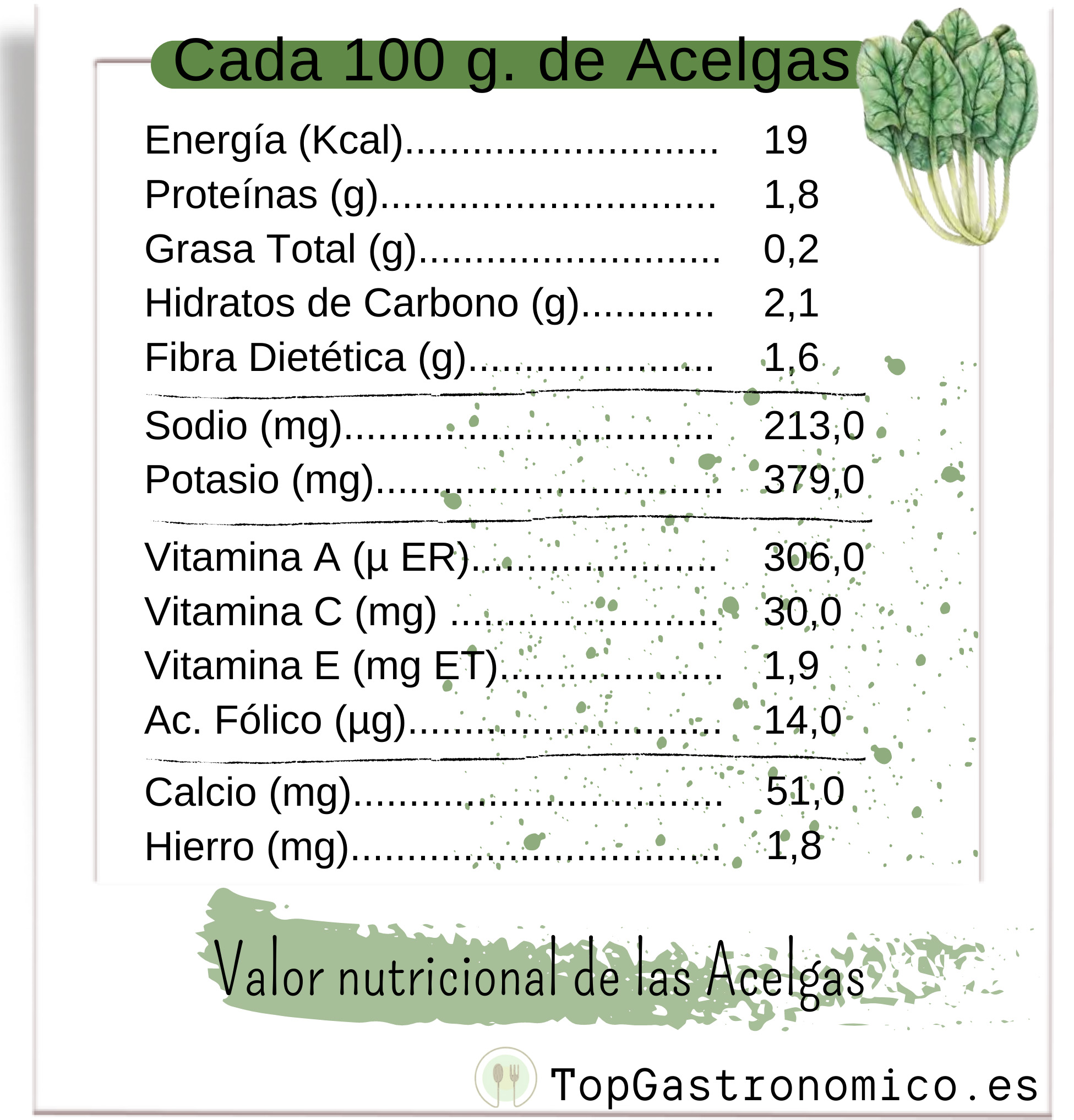 Conoce todos los Beneficios y Propiedades de las Acelgas