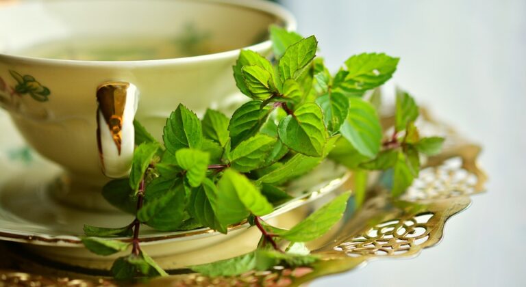 Té Verde con menta y lima, una refrescante bebida cargada de nutrientes y minerales