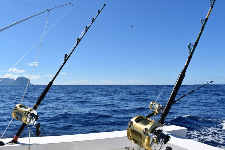 Cómo se pesca el atún, tipos y temporada óptima de uno de los pescados azules más populares