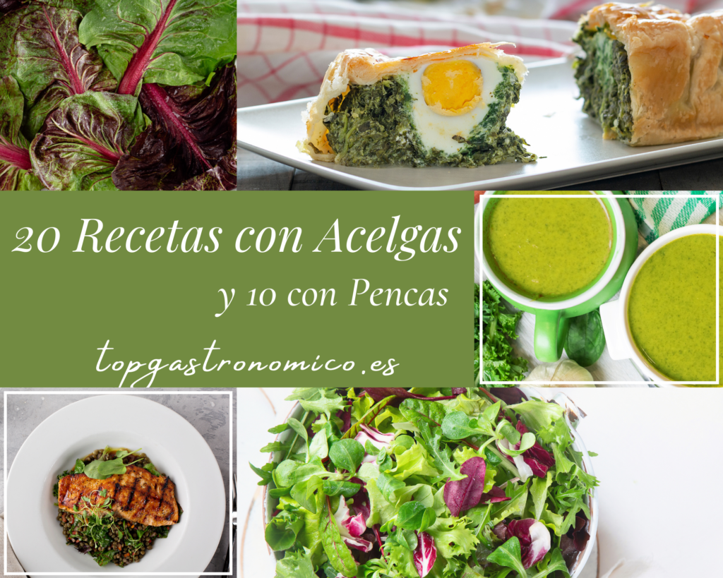 20 Recetas con Acelgas y 10 con las Pencas de Acelga
