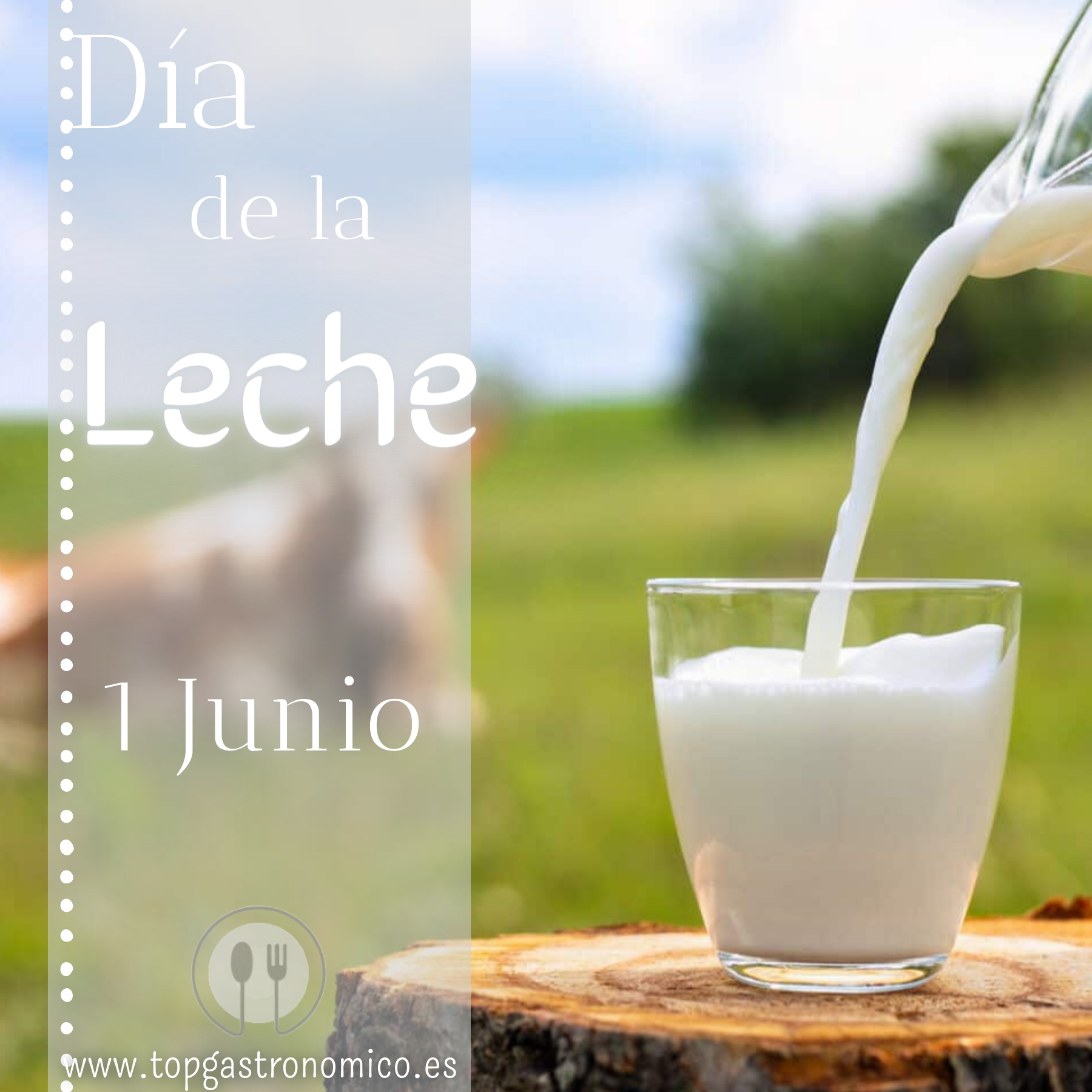 Celebra, cada 1 de Junio, el Día Mundial de la leche, un alimento básico en nuestra dieta