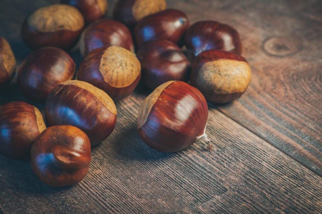 Las castañas en la cocina: historia, usos y recetas tradicionales
