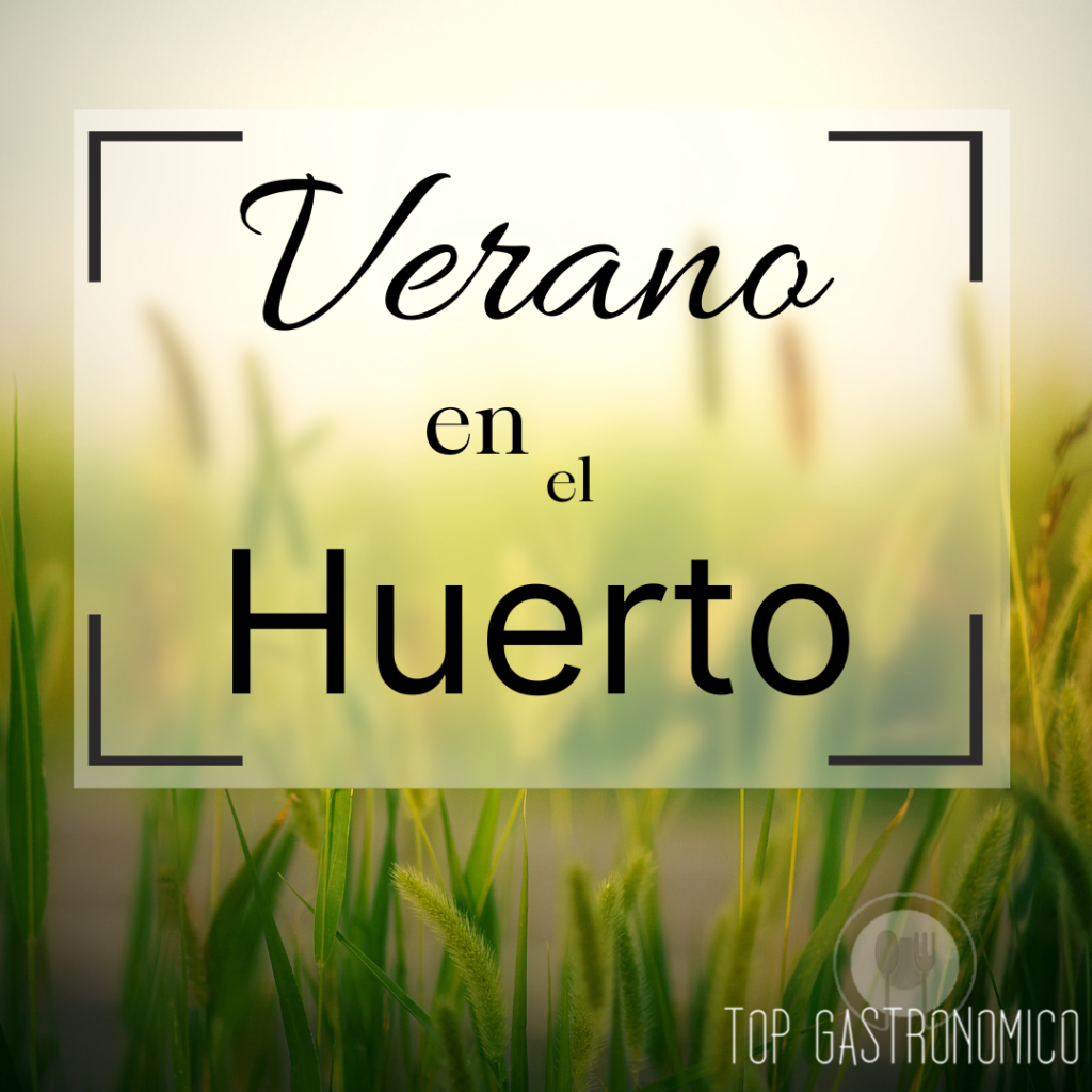 El Huerto en Verano: Guía Completa para Cultivar en la Temporada Más Cálida