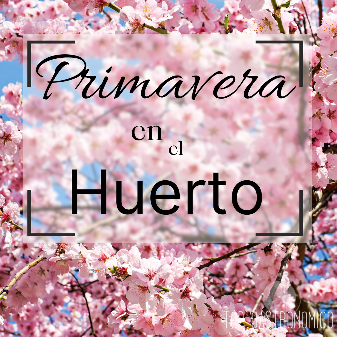 Guía completa para el huerto en primavera: qué plantar, cuidados y consejos esenciales