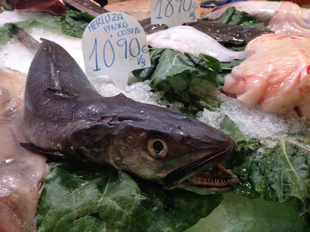 Pescados de Temporada en Julio: Cuáles Son y Cómo Disfrutarlos