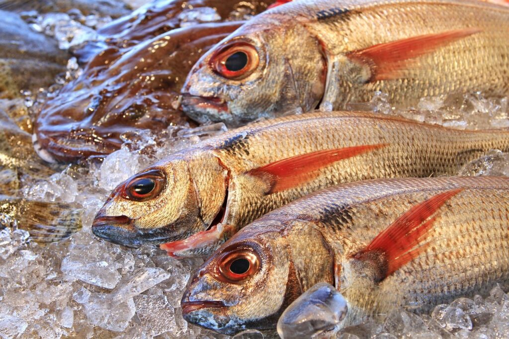 Pescados de Temporada en Octubre: Las Mejores Opciones para Disfrutar del Marisco Fresco