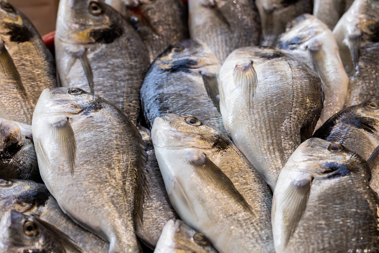 Pescados de Temporada en Marzo: ¿Cuáles son los Mejores para Comer este Mes?