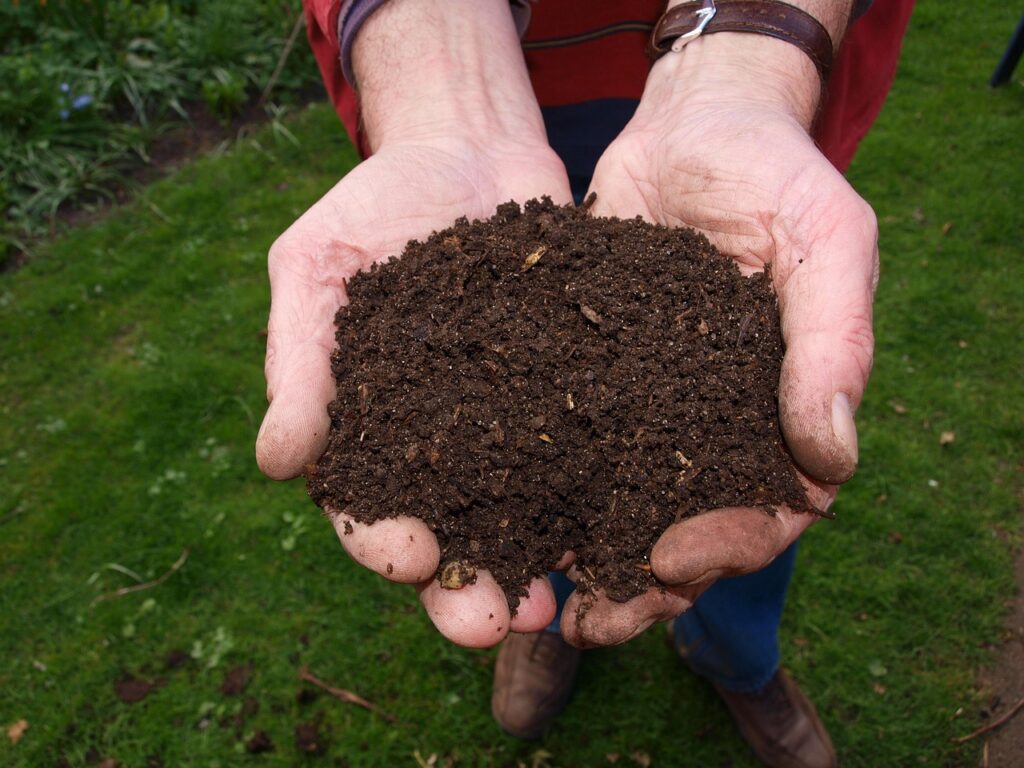Huerto en Diciembre: Qué plantar y trucos para protegerlo del frío