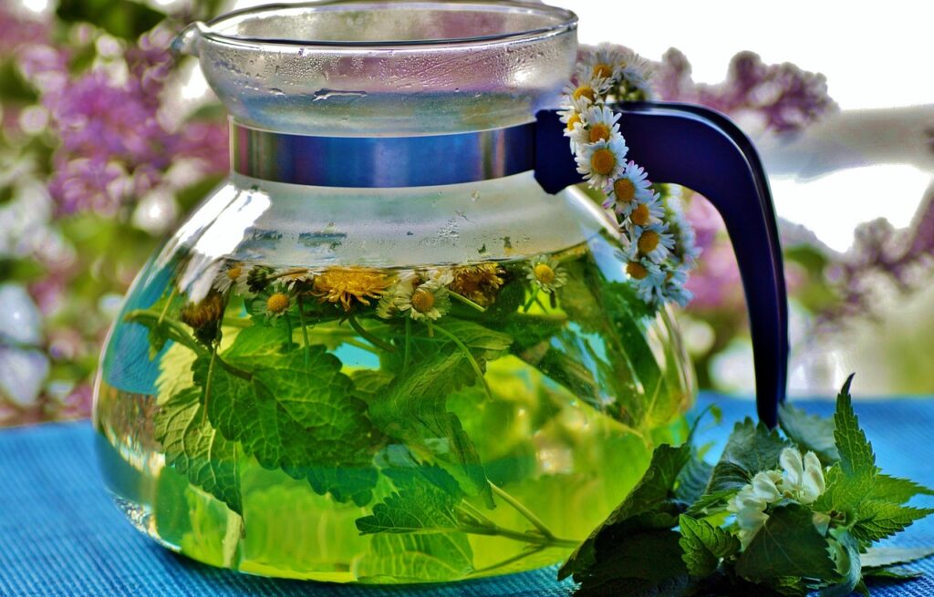 Cómo cultivar infusiones en casa