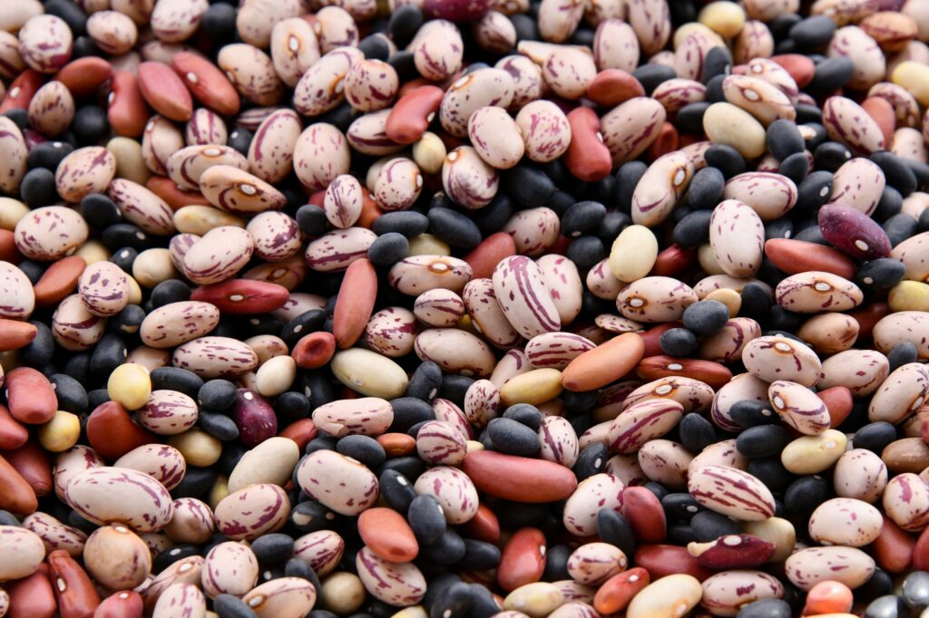 Las legumbres más olvidadas que deberías probar (y por qué incluirlas en tu dieta)