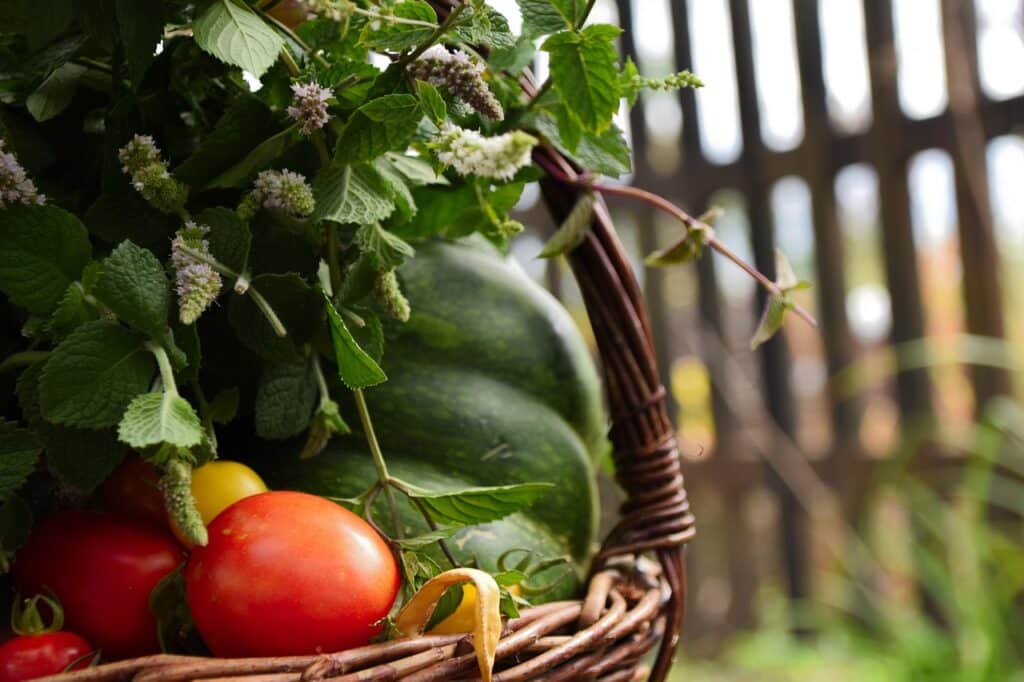 Los alimentos que mejor resisten el calor y los que deberías evitar