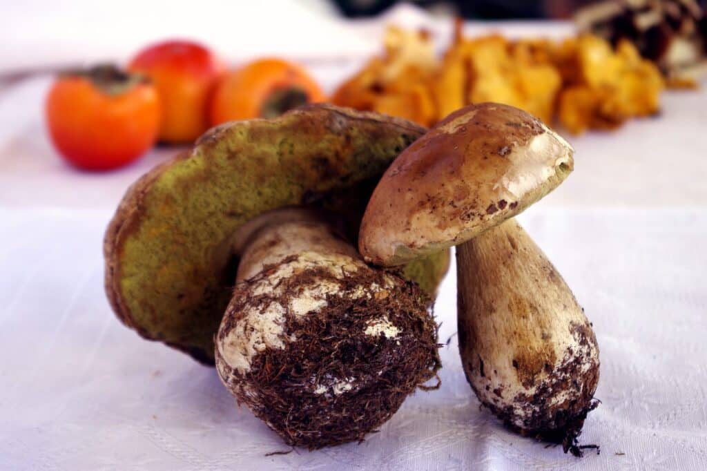 Boletus edulis salteados con gambas, una receta sencilla que sabe a restaurante